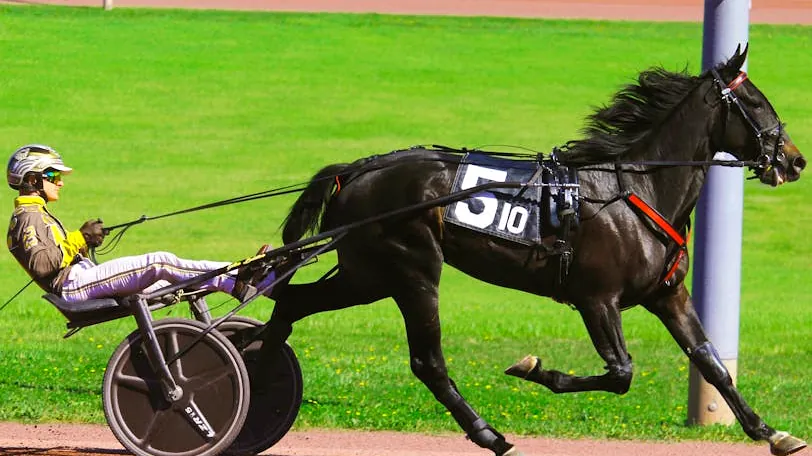 Harness racing action featuring a jockey and horse on a vibrant sunny day at the track.