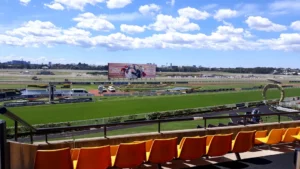 sports field dur]ing daytime