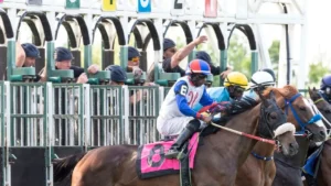 Thrilling horse race kickoff with jockeys and thoroughbreds at starting gates.